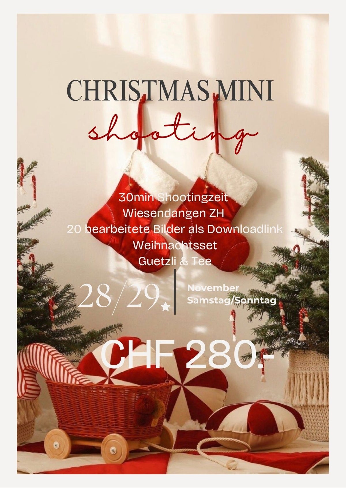 Christmas Mini Shooting